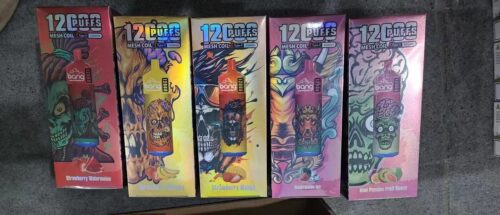 Perfect Bang 12000 Puffs Disposable Vape 20 Flavors photo review